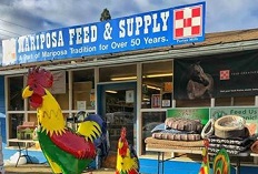 Mariposa Feed & Supply logo