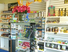 Alternatives Palm City logo