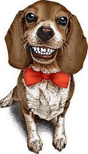 Lees Feed & Western Store logo