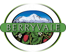 Berryvale Grocery logo