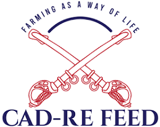 CAD-RE Feed logo