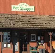 Store Logo Not Available