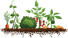Down To Earth Nutrition & Massage logo