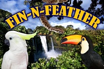 Fin N Feather Pet Shop logo