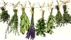 Incredible Edibles logo