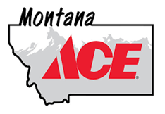 Montana Ace Ronan logo