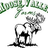 Moose Valley Farms logo