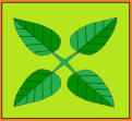 Natures Healthy Harvest logo