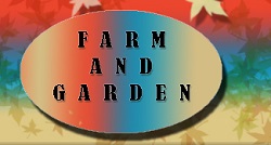 Store Logo Not Available