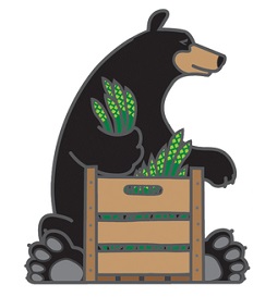 River Valley Market logo