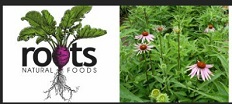 Roots Natural Foods logo