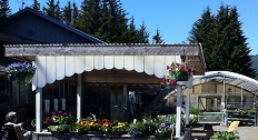 Wagon Wheel Garden And Pet logo